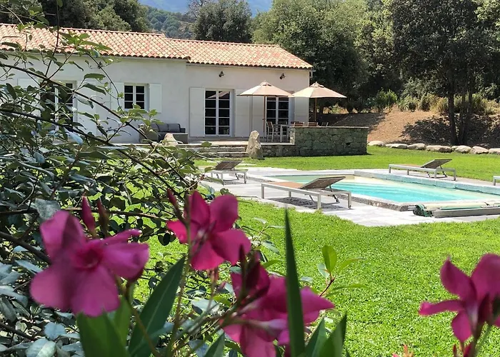 Domaine De Bracciole