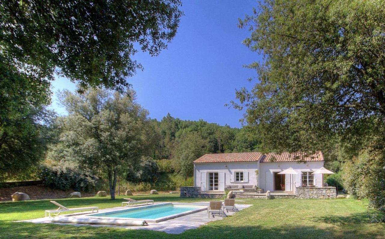 Domaine De Bracciole * Corte (Corsica)