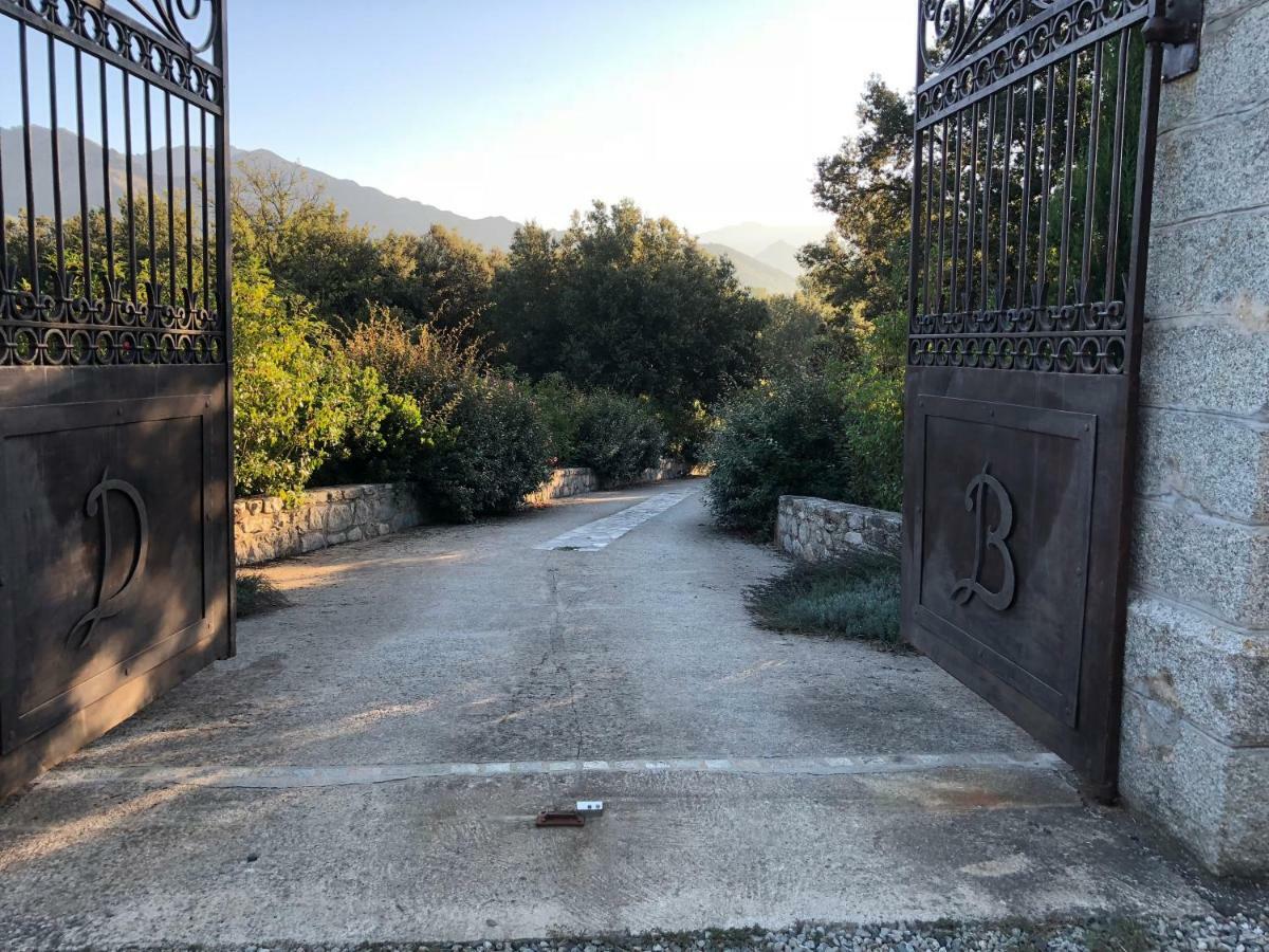 Domaine De Bracciole Corte (Corsica)