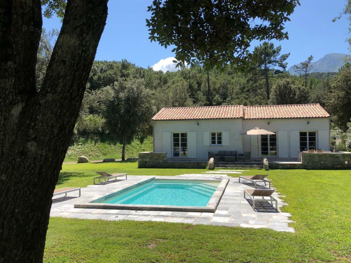 Domaine De Bracciole Corte (Corsica)