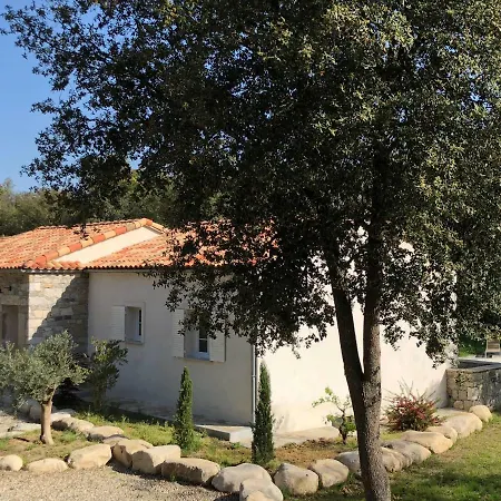 Villa Domaine de Bracciole à Corte  Extérieur photo