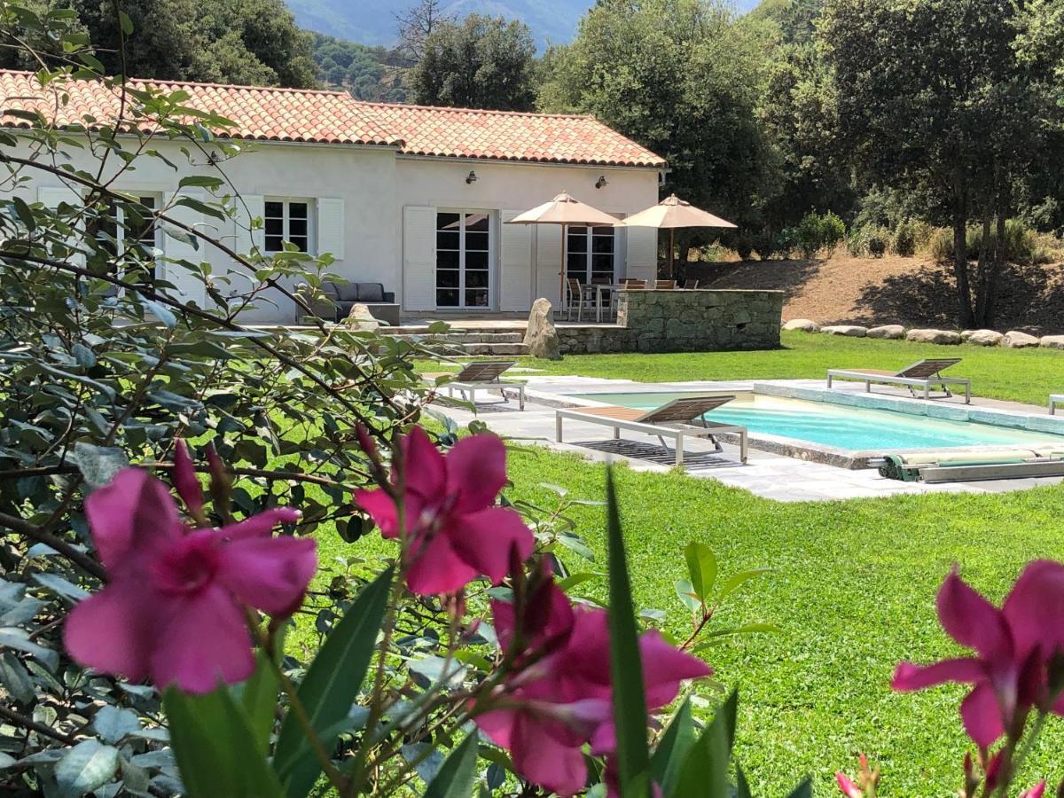 Domaine De Bracciole Ferienhaus *