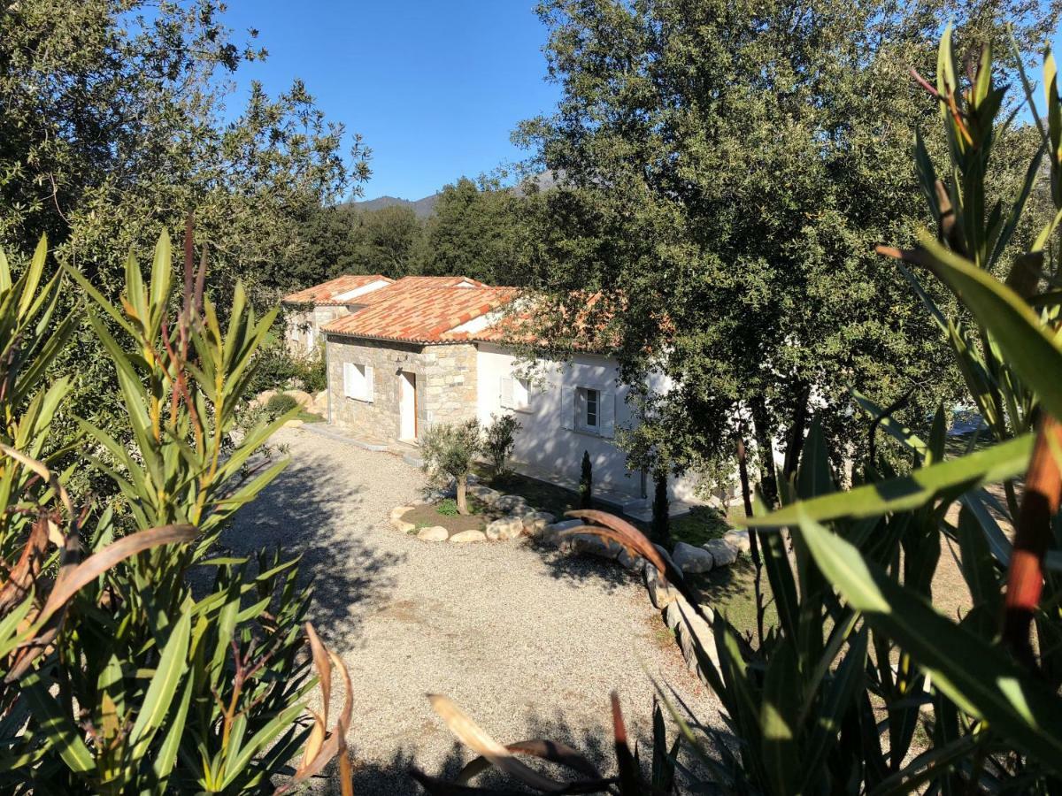 Casa vacanze Domaine De Bracciole Corte (Corsica)