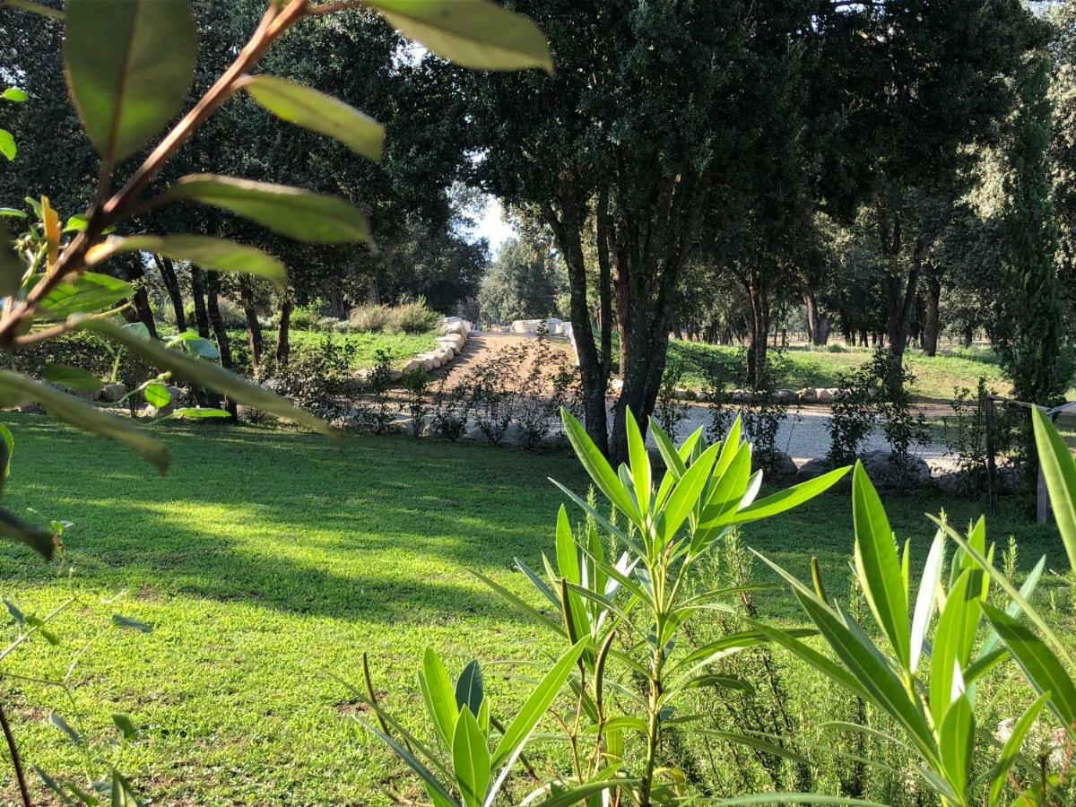 Casa vacanze Domaine De Bracciole *