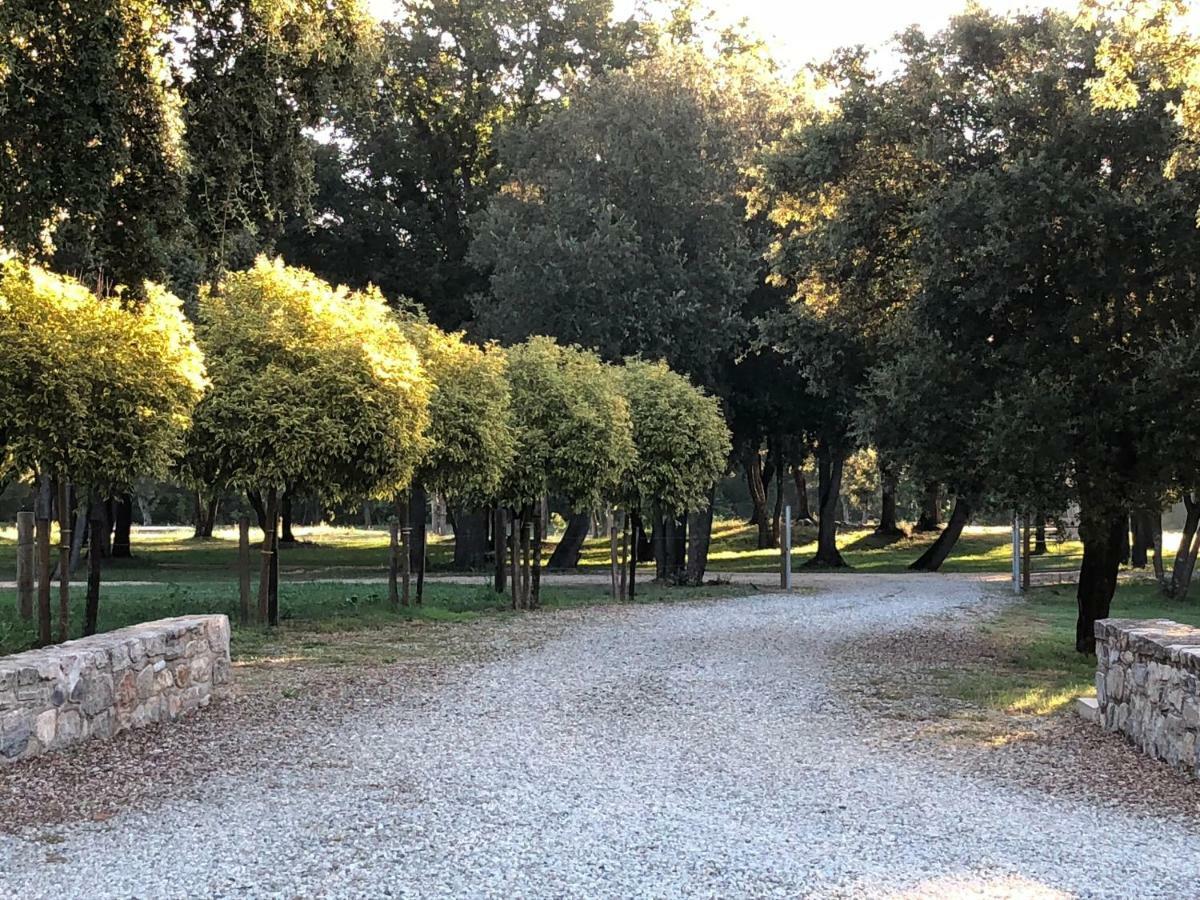 Domaine De Bracciole