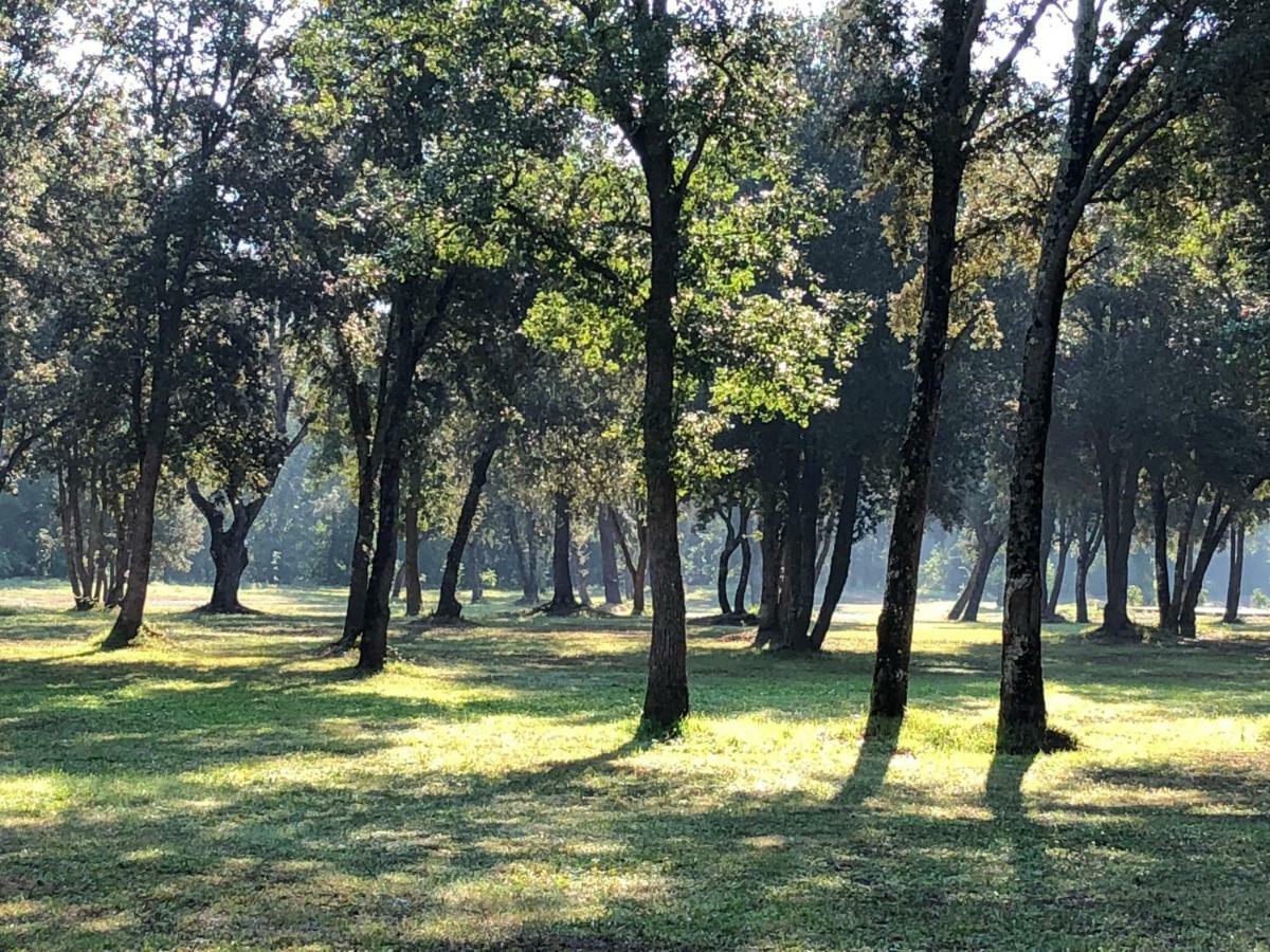 Holiday home Domaine De Bracciole *